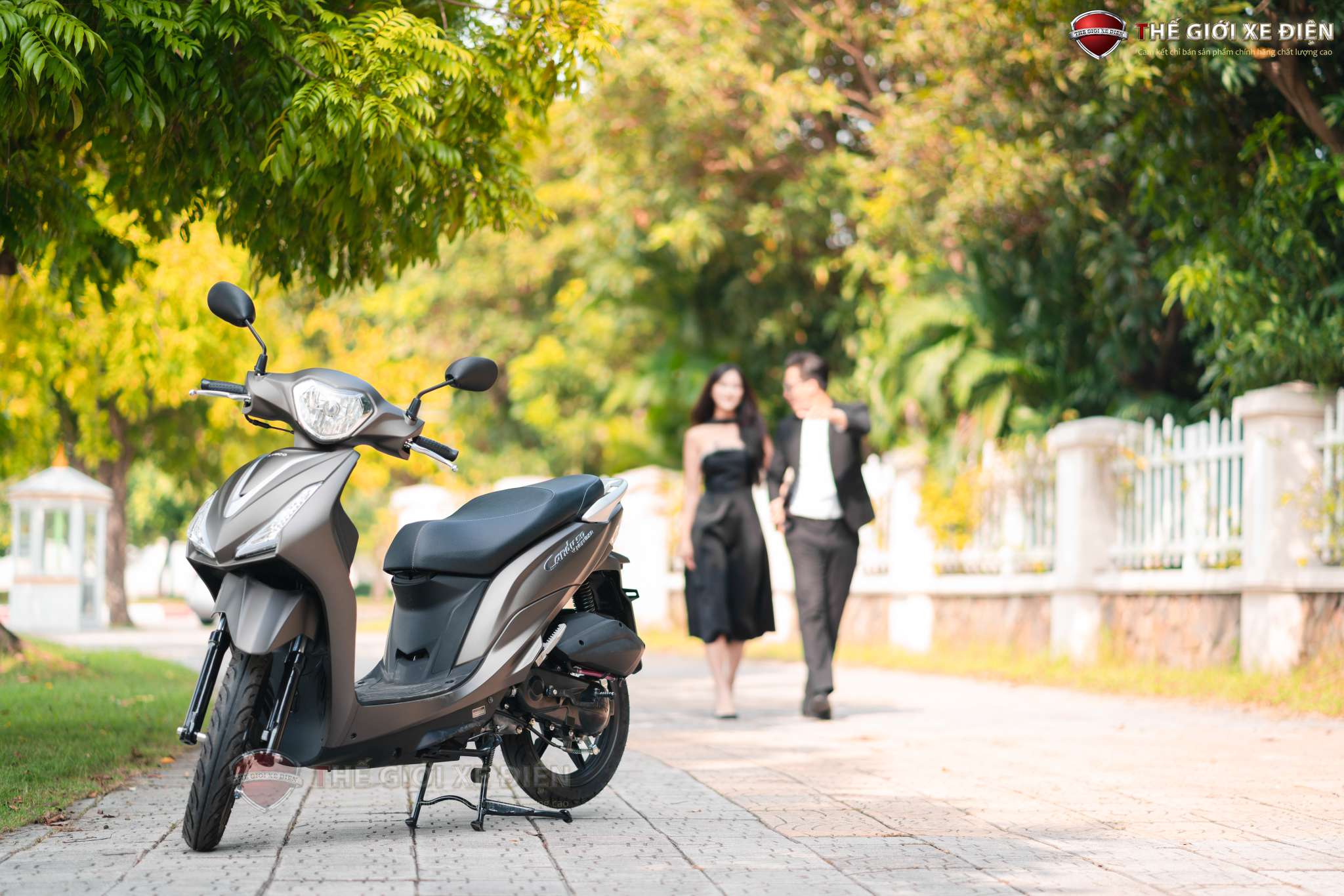 Cẩm nang những lỗi thường gặp trên Kymco Candy 50cc và các khắc phục cực nhanh