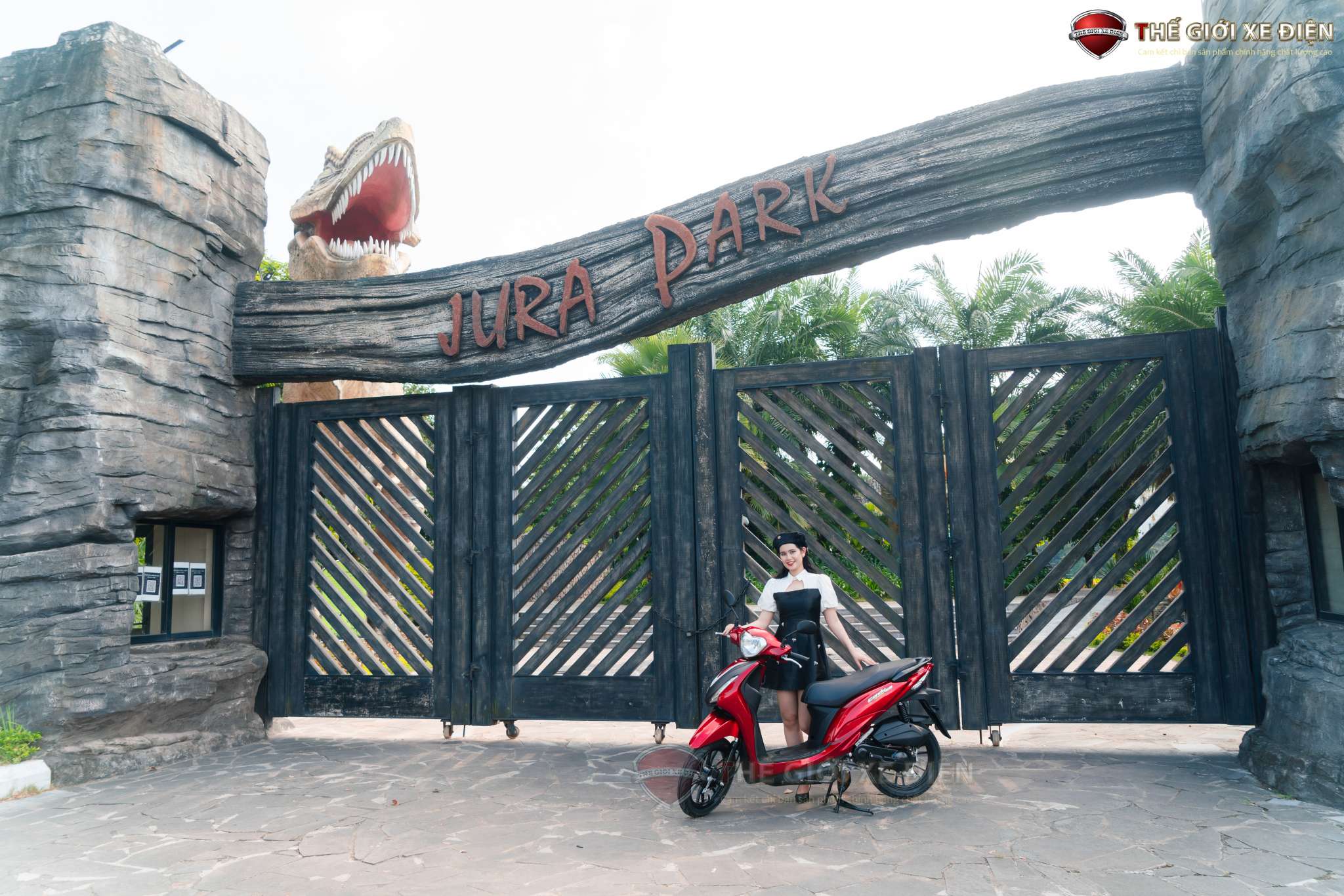 Cẩm nang những lỗi thường gặp trên Kymco Candy 50cc và các khắc phục cực nhanh