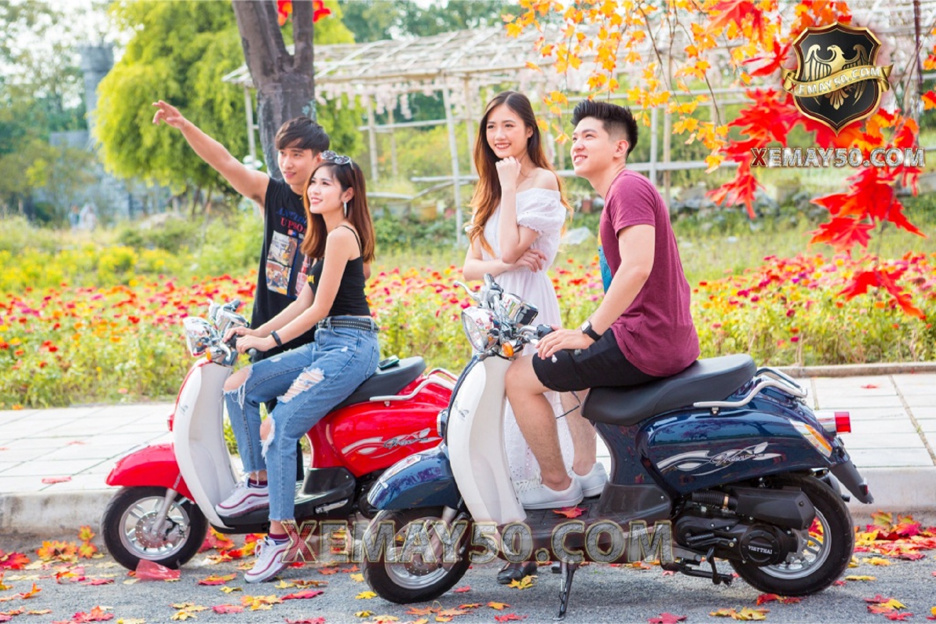 Xe máy 50cc Scoopy Việt Thái