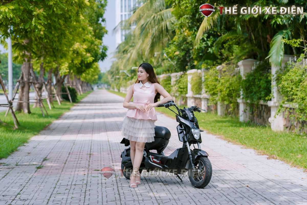 TOP 5 MẪU XE NHÀ DIBAO CỰC HOT PHÙ HỢP VỚI HỌC SINH