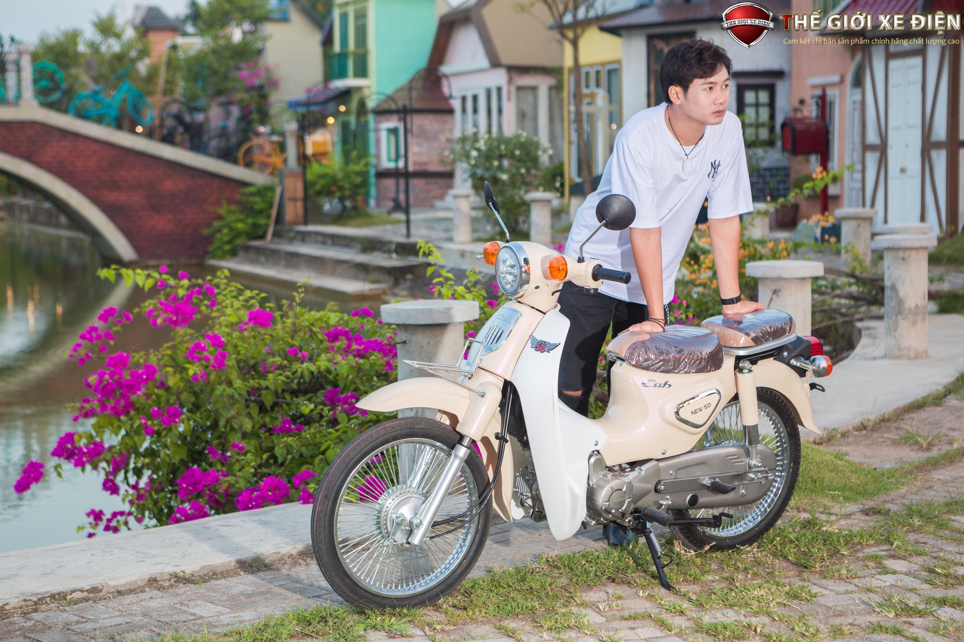 xe số 50cc cub new