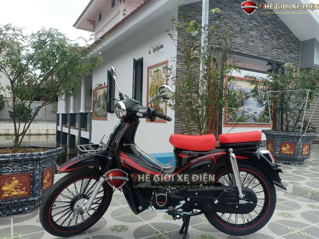 xe máy 50c cub 89 victoria