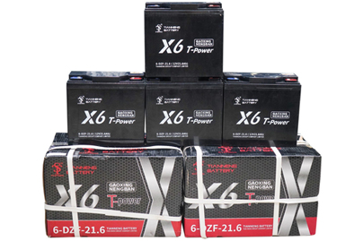 Bộ 5 Acquy Xe Điện 20Ah (Thay Tại Nhà Miễn Phí 100%)