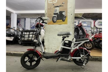 Xe Đạp Điện Galasy Pin Lithium 48V